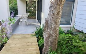 Pecan Tree Forest Studio B With Private Terrace